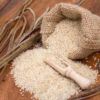 Vatsan Barnyard Millet 500g