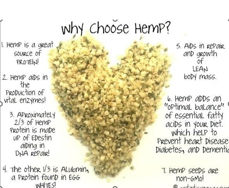 INDUS HEMP - Hemp Hearts/Hulled Hemp Seeds| 10g Protein | 12g Omegas 3 6 9 Per Serving | 20 Amino Acids | 100% Vegan and Organic view 10