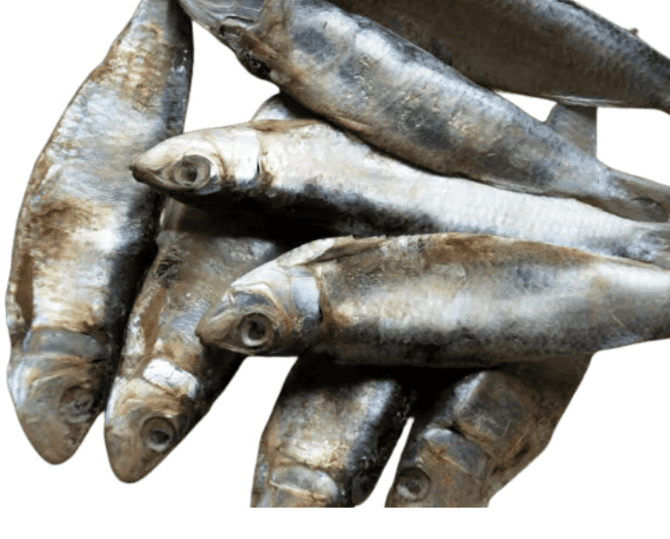 Dried Sarangi Fish (Sardine) view 4