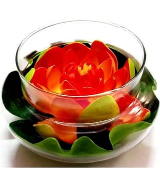 Green plant indoor Lotus Orange Flowers With Pot - Pack of 1