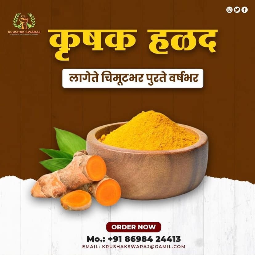 Krushak Waigaon Turmeric Powder | 100% Pure & Natural | 1000 gm view 3