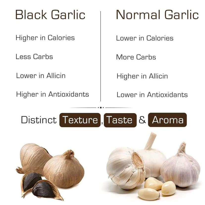Mountain Bawarchi Black Garlic Powder -100 Grams view 5