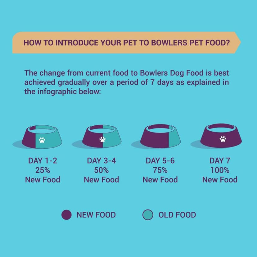Bowlers Nutrimax Adult Dry Dog Food Chicken & Vegetables view 6