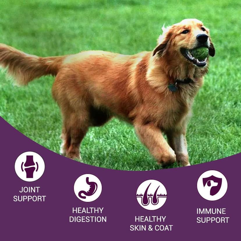 Bowlers Nutrimax Adult Dry Dog Food Chicken & Vegetables view 8