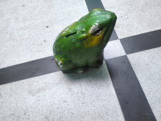 Money Box Frog Model