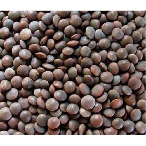 Shree Essentials Whole Masoor Dal (आखा मसूर) | Premium Unpolished Pulses view 3
