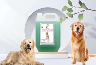 SWACCH Shampoo Specially FORMULATED for Golden Retriever (5 Litre) NEEM ALOVERA