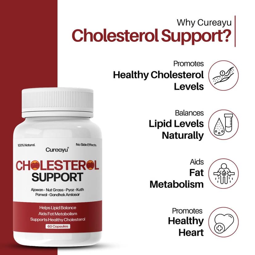Cholesterol Support Capsules | Ayurvedic Lipid & Heart Health Support | For Healthy Cholesterol Levels & Fat Metabolism view 2
