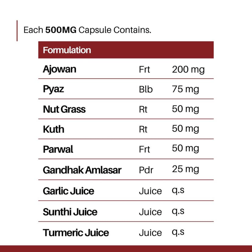 Cholesterol Support Capsules | Ayurvedic Lipid & Heart Health Support | For Healthy Cholesterol Levels & Fat Metabolism view 3