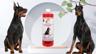 Swacch Shampoo Specially Formulated for Doberman (1 Litre) Jasmine