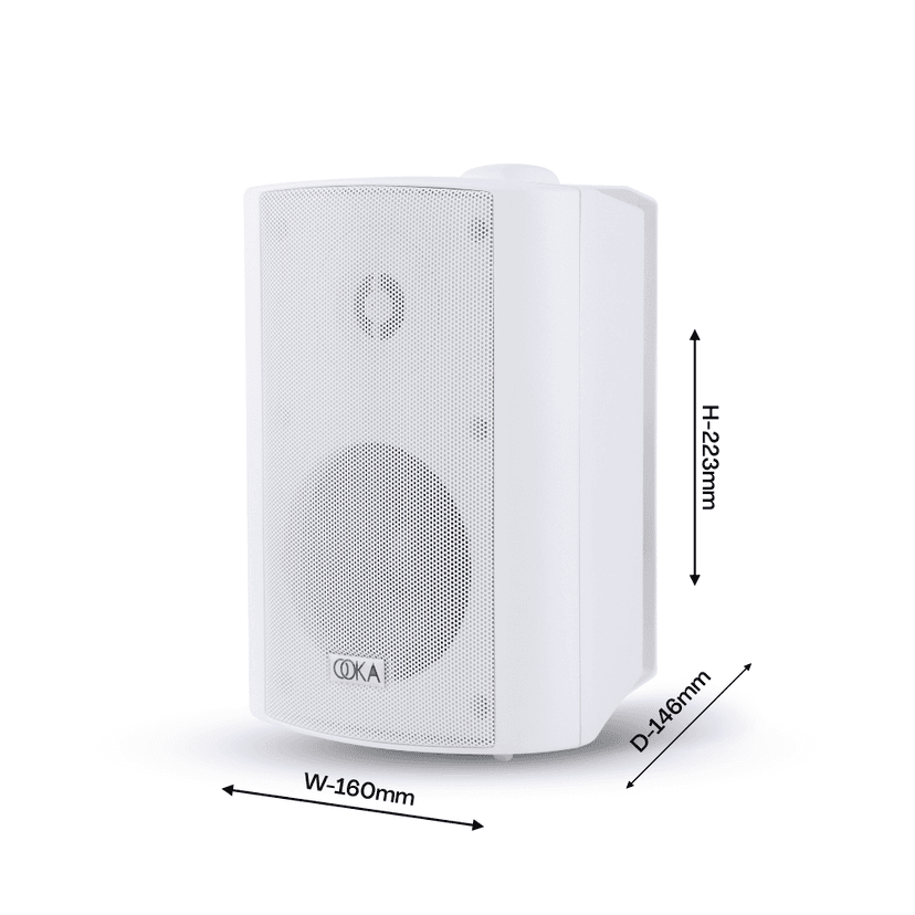 Ooka AUDiO i20 Wall Mount Speaker