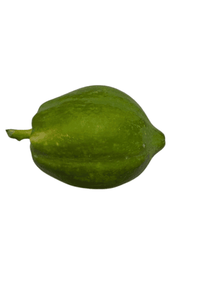 Fresh Green Papaya view 2