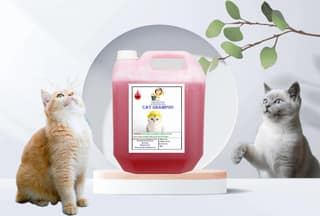 Swacch Cat Shampoo (10 Litre) Jasmine