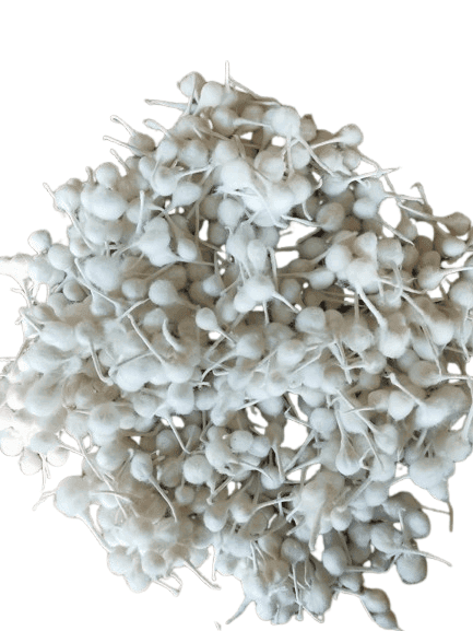 Pure Cotton Puvvu Wicks for Pooja & Rituals -25 pices