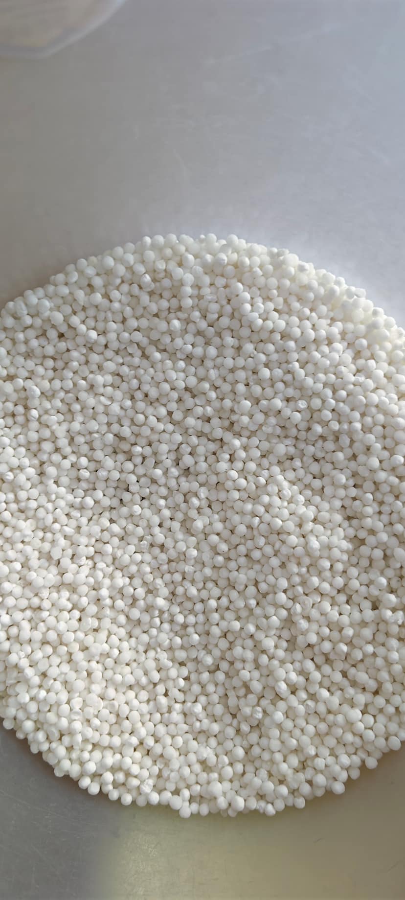 Sabudana