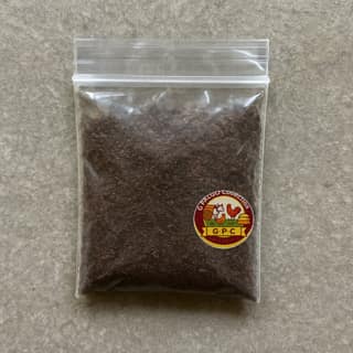 G PALGO Collection's black salt powder
