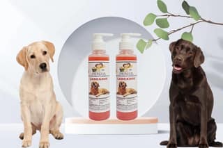 SWACCH Premium Shampoo for Labrador (200ML) (Pack of 2) Strawberry