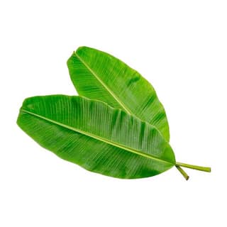 Agrify Fresh Banana Leaves 2 Pcs