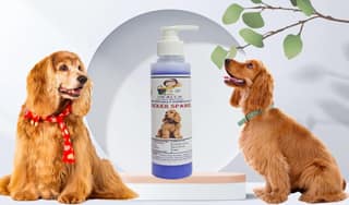 SWACCH Premium Shampoo for Cocker Spaniel (200ML) Lavender