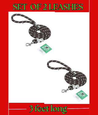 GNS PETS Purple Leash ( Small )