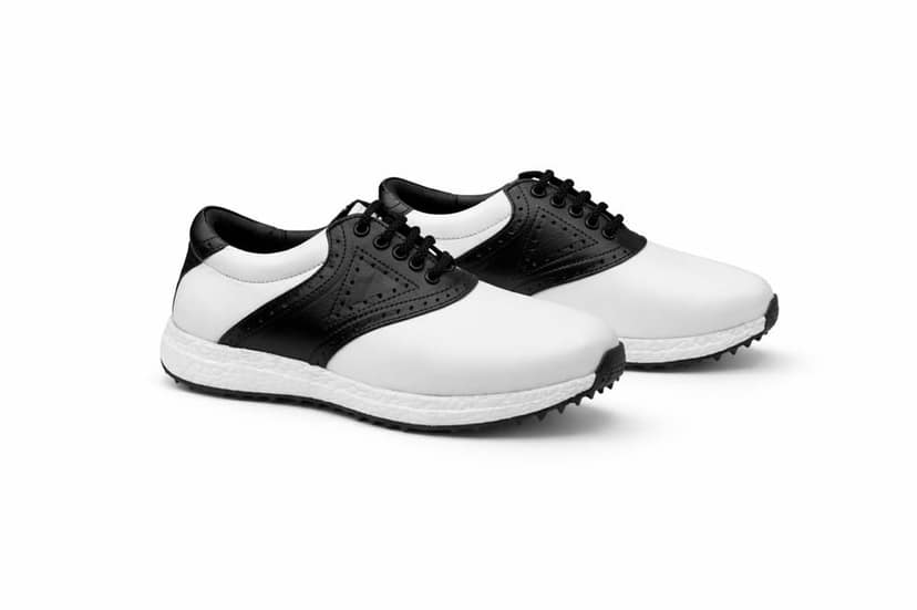 HITCARO Men Proffessional Leather Golf Shoes | Lace-Up | Phylon Sole |Waterproof | Comfortable | Breathable | Sports Shoes