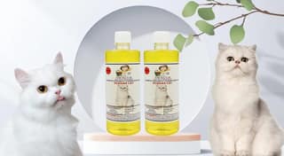SWACCH Shampoo Specially FORMULATED for Persian CAT (500ML) (Combo Pack of 2) Lemon