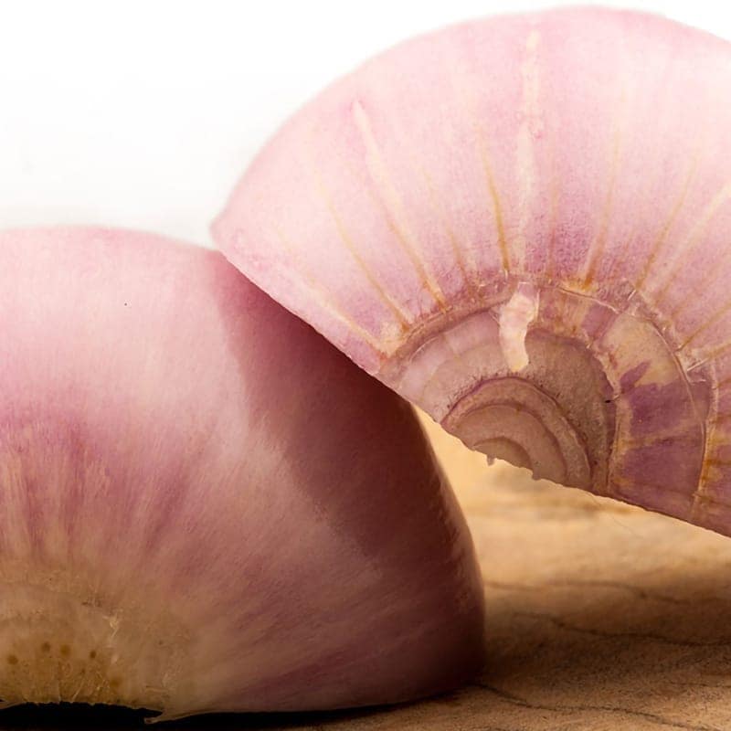 Onion Pickle view 6