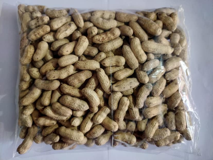 GROUNDNUT view 3