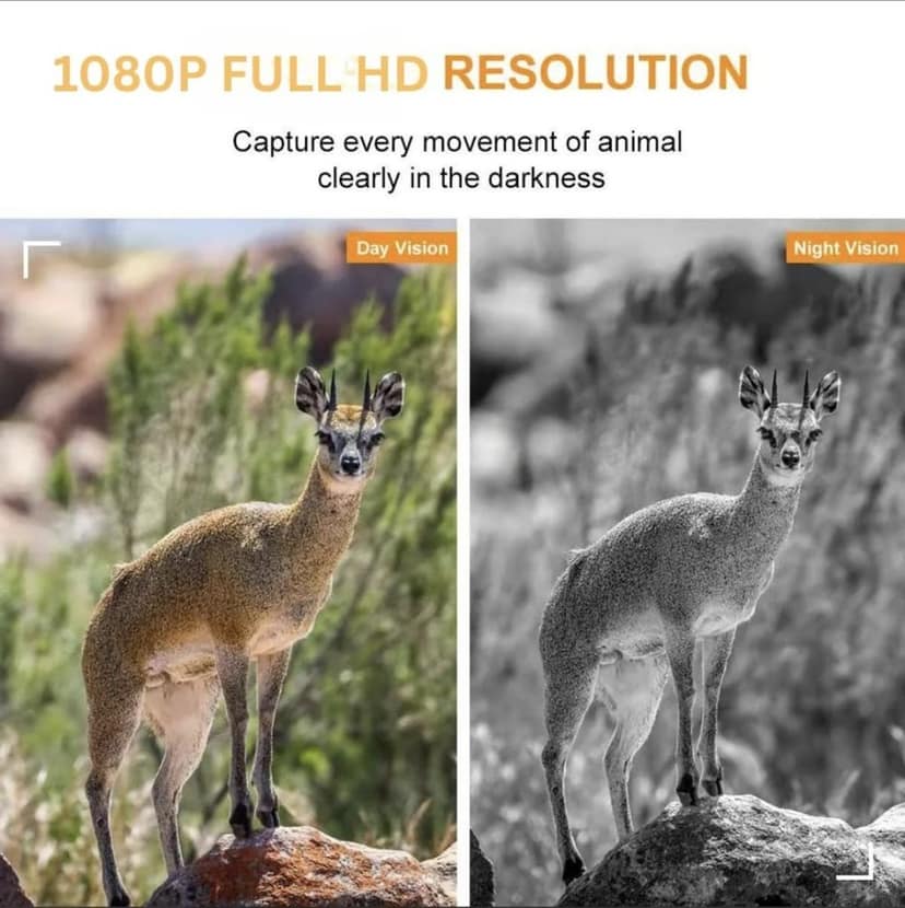 AUSHA 64MP Trail Camera | 1080P Full HD, Night Vision & IP68 Waterproof Wildlife Camera view 6