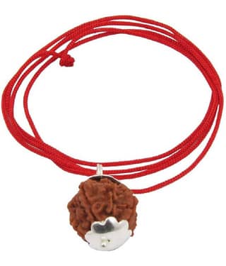 Astrodidi 6 Mukhi Rudraksha Silver Pendant With Lab Certificate