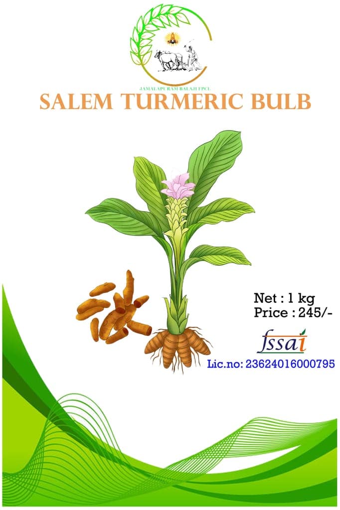 Salem Turmeric Gatta, (BULB)