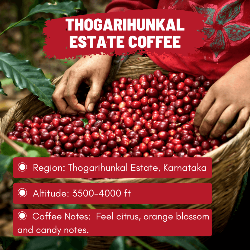 Thogarihunkal Estate Coffee view 3