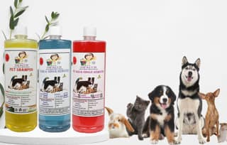 Swacch Shampoo (Lemon) + Deodorizer (Strawberry) + Stain Remover (Lavender) 1 Litre Each