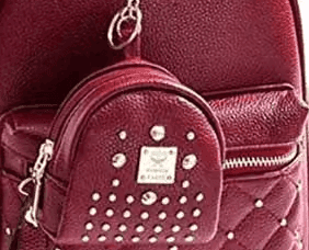 Classic Classy Women Backpack view 3