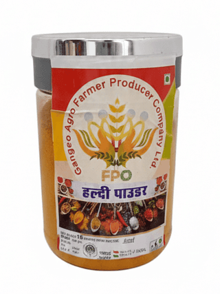 Haldi Powder - 500 gm Pure Turmeric By Gangeo Agro Farmer Producer Company Ltd.