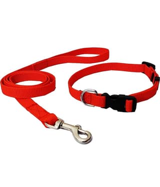 Petshop7 - Red Collar ( Small )