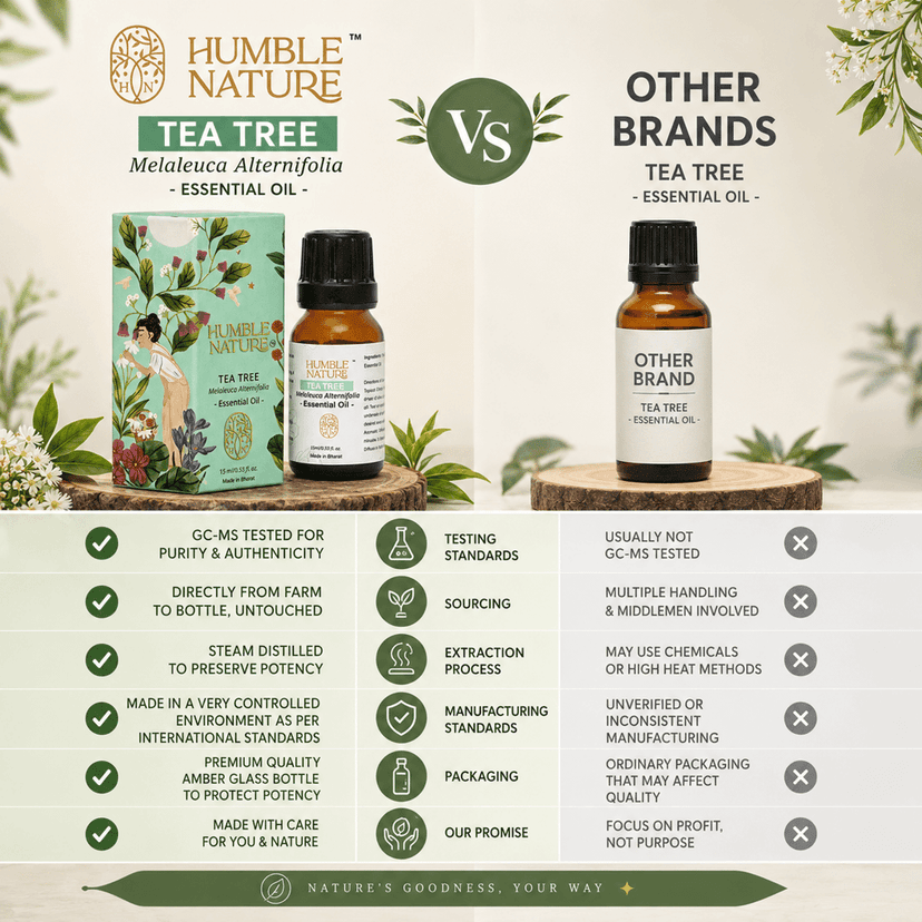 Humble Nature Tea Tree Essential Oil 15 ml | Steam Distilled Melaleuca Alternifolia Oil | Natural Plant Extract | For Skincare, Haircare, Diffuser, Aromatherapy, DIY Blends, Massage & Home Fragrance view 4