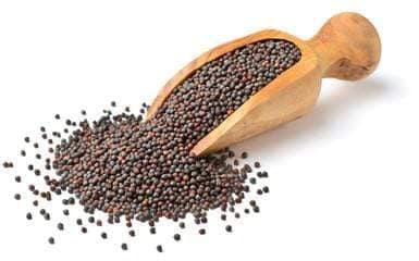 Organic Mustard Seed view 3