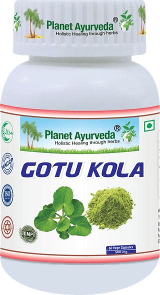 Planet Ayurveda Gotu Kola - 60 Capsules, 500mg - Supports Brain Function, Memory, and Focus - Ayurvedic Supplement for Overall Well-being