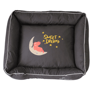 Capt Zack Dream Bedzzz Medium Large