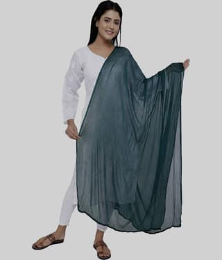 TULSI (CRAFTED WITH HEART) Women Chiffon Dupatta ( Mint Green , Pack of 1 )