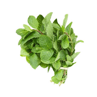 Agrify Fresh Mint Leaves 100 Gms