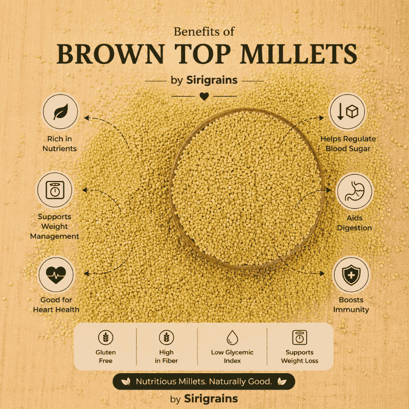SiriGrains Premium Browntop Millet 1kg | Whole Unpolished Millet (Hari Kangni, Korale, Andu Korralu) | Rare Traditional Indian Millet view 5