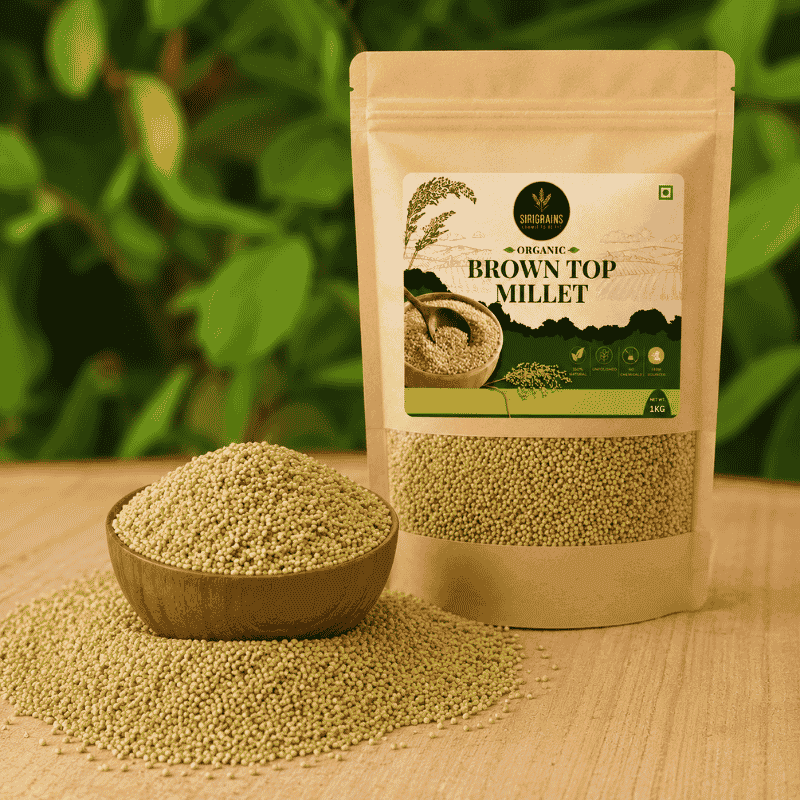 SiriGrains Premium Browntop Millet 1kg | Whole Unpolished Millet (Hari Kangni, Korale, Andu Korralu) | Rare Traditional Indian Millet view 6