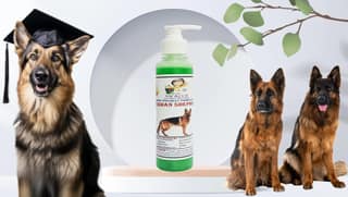 SWACCH Premium Shampoo for German Shepherd (200ML) NEEM ALOVERA