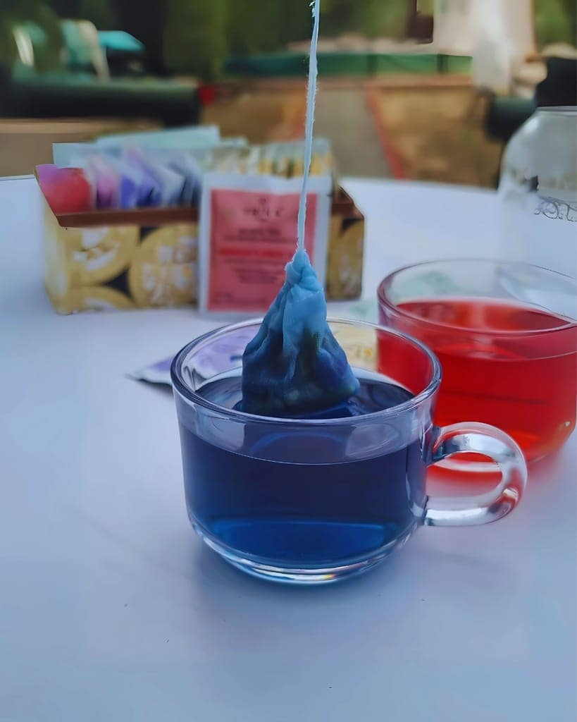 TRIKA CHAI Butterfly Pea Flower Herbal Tea, 30gm view 3