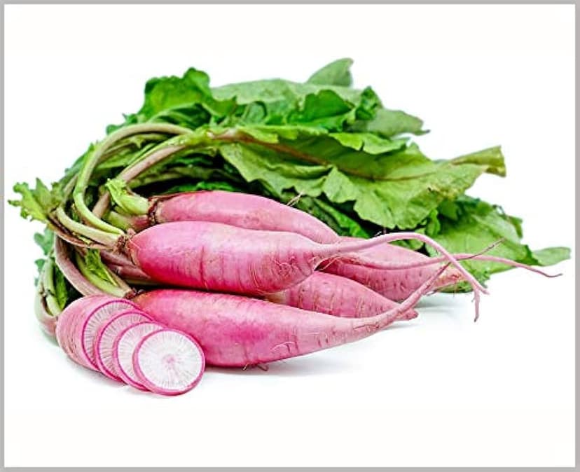 Pink Radish 1 Pack