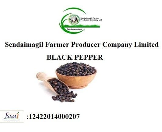 black pepper for farmer view 3