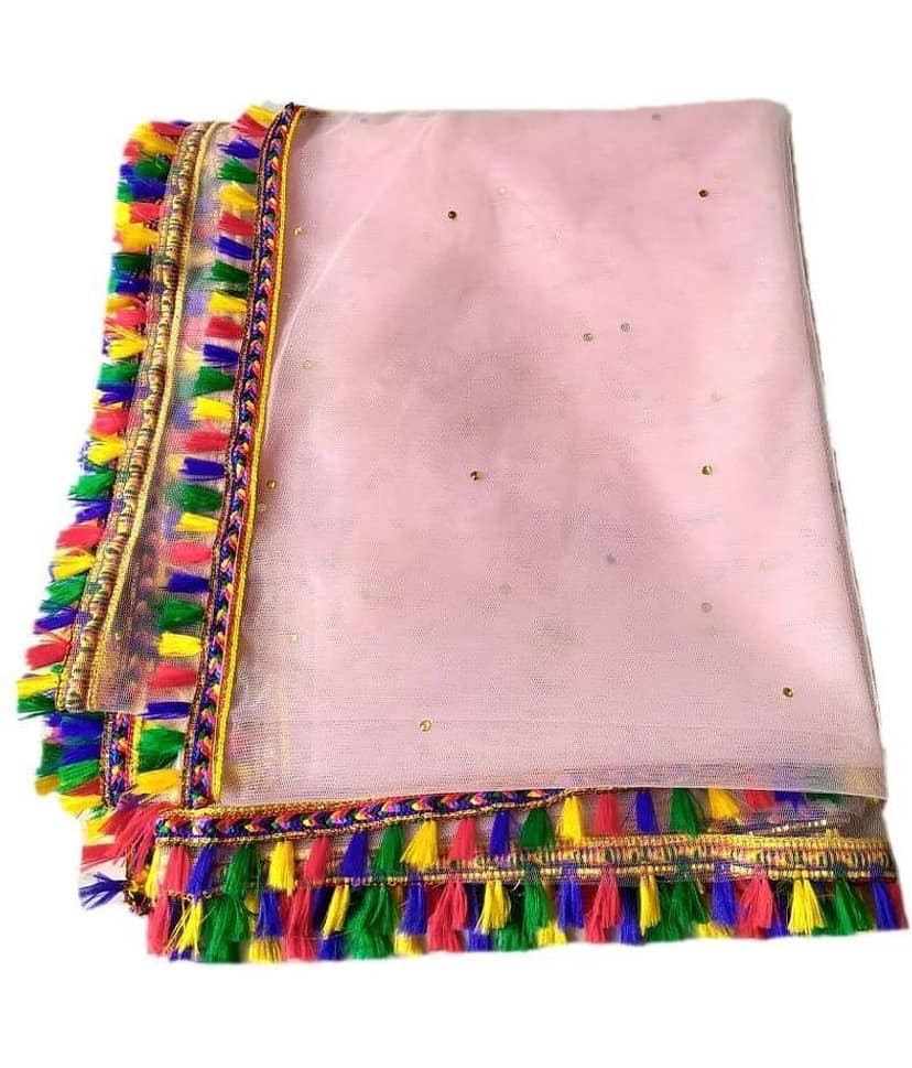 hariyanilace Pink Net Hand Painted Dupatta - Single