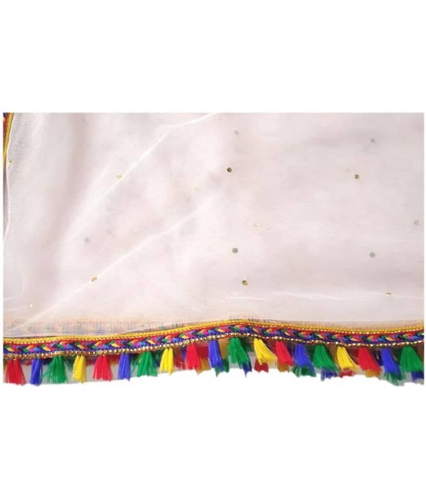 hariyanilace Pink Net Hand Painted Dupatta - Single view 2